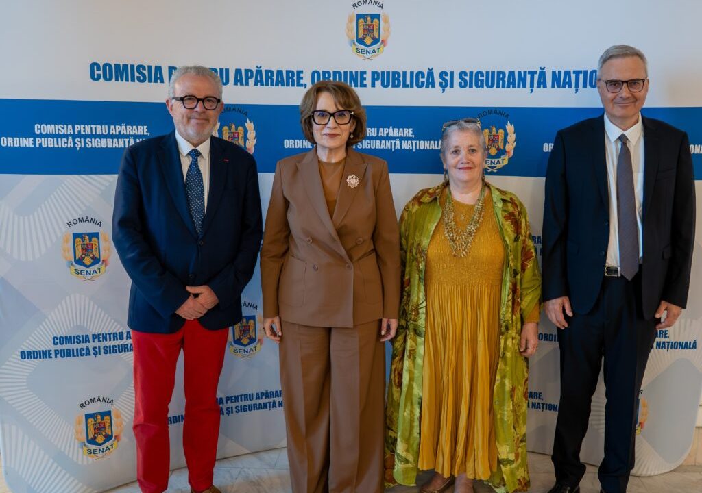 Întrevederea senatoarei Nicoleta Pauliuc cu delegația Comisiei pentru afaceri externe, apărare și forțe armate din Senatul Republicii Franceze