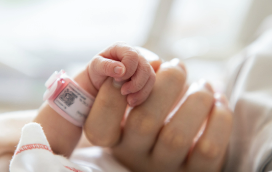 Celulele stem din cordonul ombilical, testate ca „scut” pentru prevenirea leziunilor cerebrale la prematuri